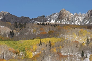 New Images March 2024 Part 2 Prints: USA, Colorado, Gunnison National Forest