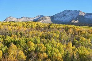 New Images March 2025 Part 2 Prints: USA, Colorado, Gunnison National Forest