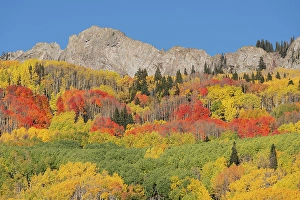 New Images March 2025 Part 2 Prints: USA, Colorado, Gunnison National Forest