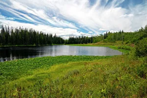Lily Pad Prints: USA, Colorado. Hinman Lake surrounded by lily pads