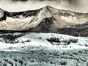 Backcountry Prints: USA, Colorado. Infrared of Aspens with mountain range in fresh snow
