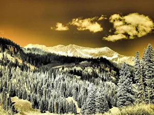 Backcountry Prints: USA, Colorado. Infrared of Aspens with mountain range in fresh snow