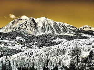 Backcountry Prints: USA, Colorado. Infrared of Aspens with mountain range in fresh snow