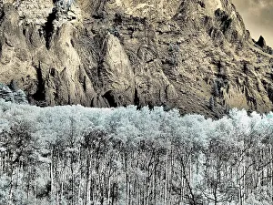 Overlook Prints: USA, Colorado. Infrared of Aspens against rock wall