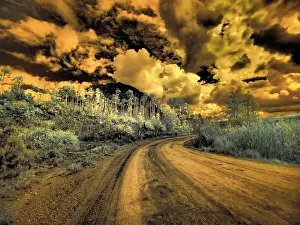 Dirt Road Prints: USA, Colorado. Infrared of road through Kebler Pass