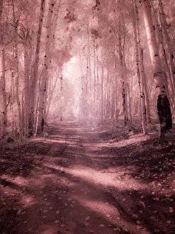 Dirt Road Prints: USA, Colorado. Infrared of road through Kebler Pass