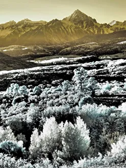 San Juan Mountain Prints: USA, Colorado. Infrared of view of Mount Sneffels and Aspen trees