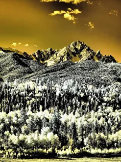 San Juan Mountain Prints: USA, Colorado. Infrared of view of Mount Sneffels and Aspen trees