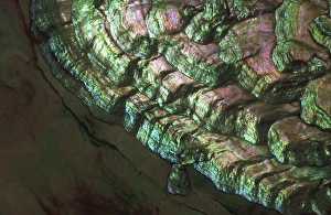 Images Dated 22nd December 2014: USA, Colorado, Lafayette. Abalone shell close-up