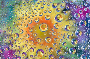 Images Dated 23rd July 2008: USA, Colorado, Lafayette. Water bubbles on glass table top