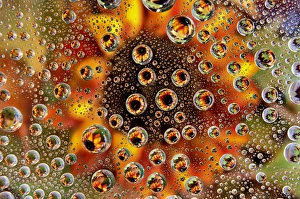 USA, Colorado, Lafayette. Water bubbles on glass table top