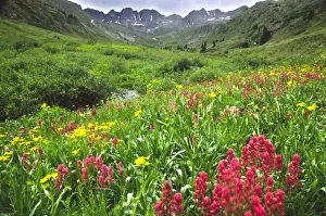 USA, Colorado, Lake City, American Basin in San Juan Mountains