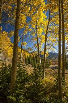 Images Dated 3rd August 2013: USA, Colorado. Landscape in San Juan Mountains