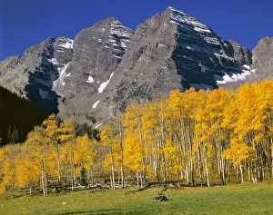 Maroon Bells Prints: USA, Colorado, Maroon Bells. A golden aspen forest softens the stark