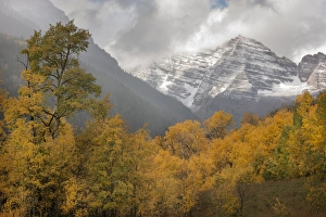 Images Dated 29th September 2014: USA, Colorado, Maroon Bells State Park. Autumn sunrise on Maroon Bells mountains