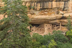 Civilization Prints: USA, Colorado, Mesa Verde National Park. Spruce Tree House Ruins