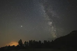 Milky Way Prints: USA, Colorado, Eleven Mile Canyon. The Milky Way galaxy and forest silhouette at night