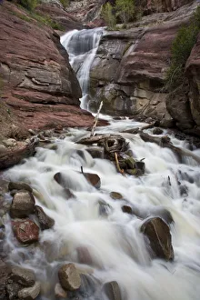 Spruce Prints: USA, Colorado. Moss and lichen cover rocks lining a cascading mountain stream in southern