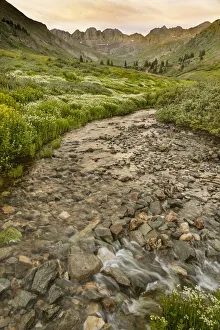 Images Dated 14th January 2022: USA, Colorado. Mountain landscape with wildflowers and stream