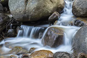 Images Dated 29th June 2018: USA, Colorado, Mt. Evans. Chicago Creek cascade
