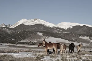 Westcliffe Prints: USA, Colorado, Music Meadows Ranch