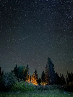 Images Dated 28th September 2013: USA, Colorado. Night sky at Lost Lake Slough