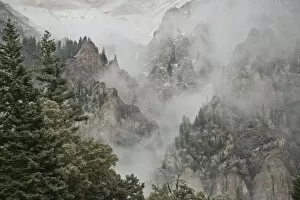 USA, Colorado, Ouray. Fog develops as a snow storm moves into the Uncompahgre River Gorge