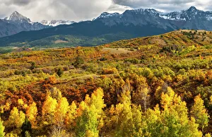 San Juan Mountain Prints: USA, Colorado. Panoramic of San Juan Mountains and valley forest in autumn