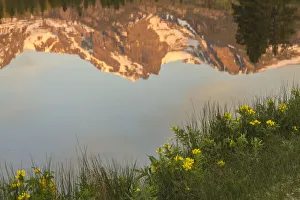 Prints of USA, Colorado, Rock Mountain National Park. Mountain reflection in Sprague Lake. Credit as: Cathy and Gordon Illg / Jaynes Gallery / DanitaDelimont.com Images Dated 2019 December: USA, Colorado, Rock Mountain National Park. Mountain reflection in Sprague Lake