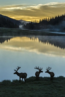 Images Dated 21st July 2016: USA, Colorado, Rocky Mountain National Park