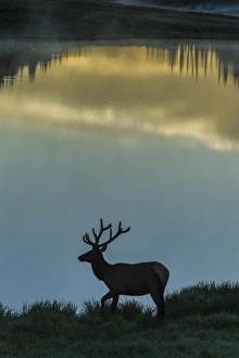 Images Dated 21st July 2016: USA, Colorado, Rocky Mountain National Park