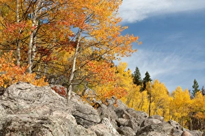Images Dated 27th August 2007: USA, Colorado, Rocky Mountain National Park
