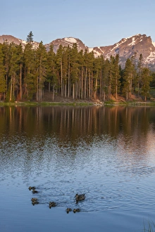 USA, Colorado, Rocky Mountain National Park