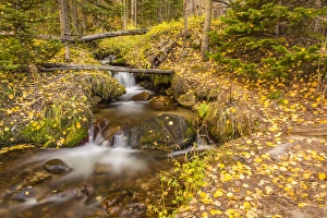 Images Dated 27th September 2016: USA, Colorado, Rocky Mountain National Park. Waterfall in forest scenic. Credit as