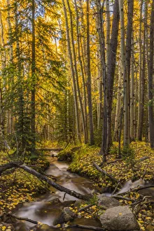 Images Dated 27th September 2016: USA, Colorado, Rocky Mountain National Park. Waterfall in forest scenic. Credit as