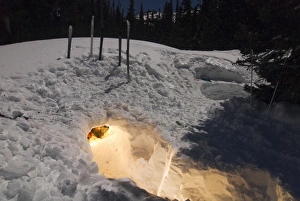Images Dated 27th January 2007: USA, Colorado, Rocky Mountain NP. A snowcave emanates a soft glow on a winter night