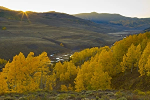 Images Dated 27th September 2011: USA, Colorado, Rocky Mountains, Gunnison National Forest. Autumn sunrise on the East River