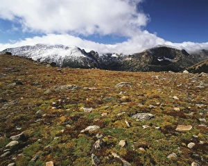 Images Dated 11th February 2013: USA, Colorado, Rocky Mountains National Park, Alpine tundra in early autumn