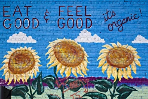 Images Dated 18th December 2011: USA, Colorado, Salida, eat organic building mural