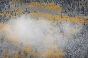 Images Dated 30th September 2014: USA, Colorado, San Juan Mountains. Fog on mountainside