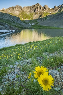 Images Dated 30th July 2015: USA, Colorado, San Juan Mountains. Clear Lake and alpine sunflowers