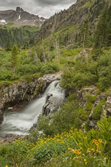 Images Dated 30th July 2015: USA, Colorado, San Juan Mountains. Waterfall in Yankee Boy Basin