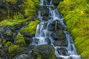 Images Dated 29th July 2015: USA, Colorado, San Juan Mountains. Cascade down mossy hillside