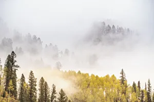 Images Dated 30th October 2018: USA, Colorado, San Juan Mountains. Fog across mountainside in autumn