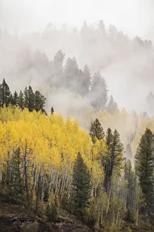 Images Dated 30th October 2018: USA, Colorado, San Juan Mountains. Fog across mountainside in autumn