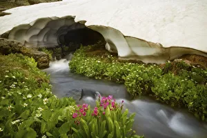 Prints of USA, Colorado, San Juan Mountains. Stream rushing under snow bank. Credit as: Don Grall / Jaynes Gallery / DanitaDelimont.com Images Dated 2017 December: USA, Colorado, San Juan Mountains. Stream rushing under snow bank