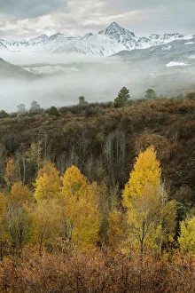 Mt Sneffels Prints: USA, Colorado, San Juan Mountains. Morning fog on mountain and forest landscape. Credit as