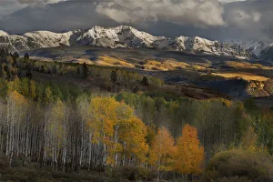 Images Dated 31st October 2018: USA, Colorado, San Juan Mountains. Mountains and forest landscape