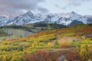 Transition Prints: USA, Colorado, San Juan Mountains, Uncompahgre National Forest