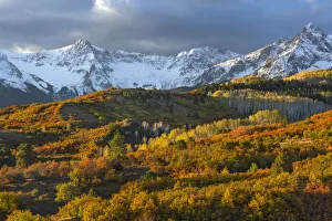 Transition Prints: USA, Colorado, San Juan Mountains, Uncompahgre National Forest